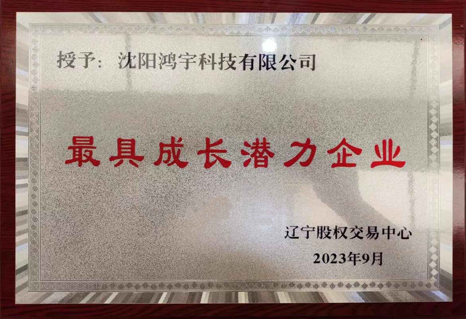 最具成长潜力企业